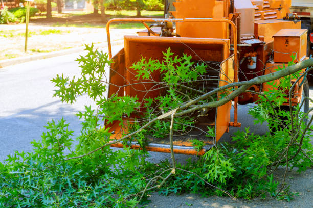 Lawn Irrigation Installation and Maintenance in Westbury, NY
